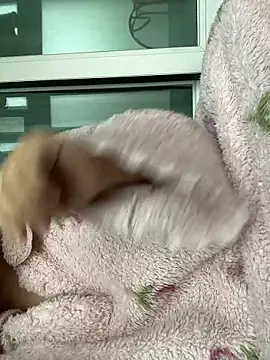 wjddjwjd online show from 02/06/26, 11:52