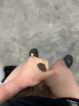 Wvpppp online show from 03/03/26, 11:49