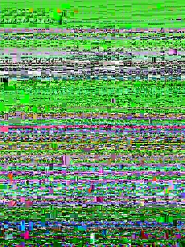 Snapshot of AsynaYuuki chatting on 03/05/26, 10:22 AsynaYuuki online show from 03/05/26, 10:22