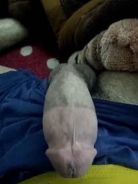 amirMohamed58 online show from 02/23/26, 09:23