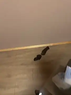 kin-y7 online show from 02/07/26, 03:43