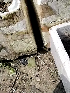 Queen-love45 online show from 03/01/26, 03:41