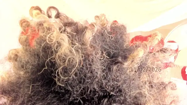 Brit weston online show from 02/11/26, 09:42