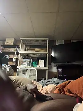 ProveYourLoyalty2 online show from 03/19/26, 08:40