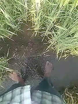 Cute Boy 4 online show from 02/10/26, 03:21