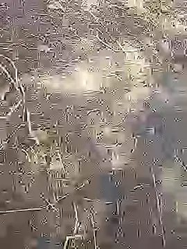 Cute Boy 4 online show from 03/14/26, 08:42