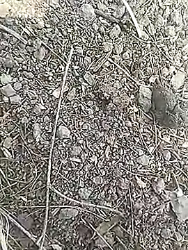 Cute Boy 4 online show from 03/18/26, 07:00