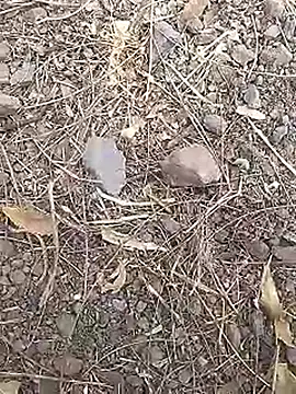 Cute Boy 4 online show from 03/19/26, 07:45