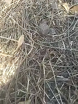 Cute Boy 4 online show from 04/02/26, 07:28