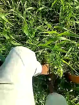 Cute Boy 4 online show from 04/06/26, 02:53