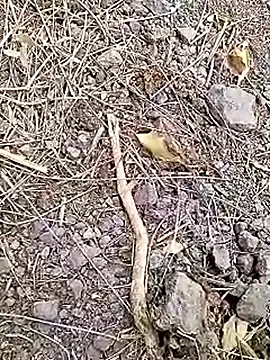 Cute Boy 4 online show from 04/07/26, 07:31