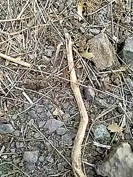 Cute Boy 4 online show from 04/08/26, 07:30