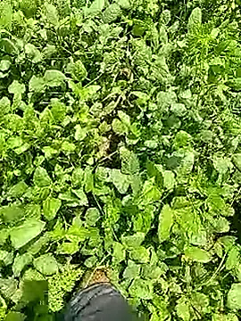 Cute Boy 4 online show from 04/09/26, 06:30