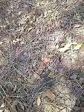 Cute Boy 4 online show from 04/16/26, 07:53