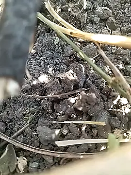 Cute Boy 4 online show from 04/21/26, 07:36