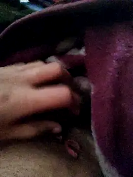 crazyxy12 online show from 02/12/26, 05:02