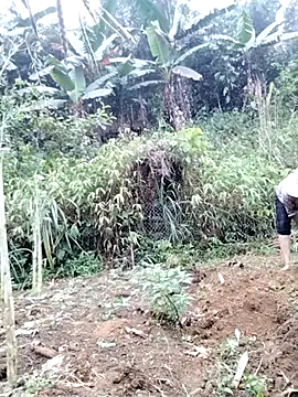 Tina-beo online show from 04/18/26, 08:18