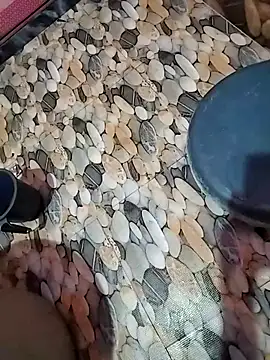 tamilpaiyan989 online show from 04/05/26, 02:53