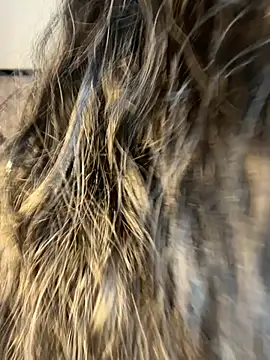 Denise wolfe21 online show from 02/19/26, 07:43