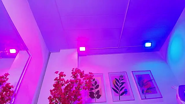 Maddie T18 online show from 02/04/26, 11:42