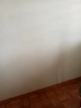 baipal74 online show from 02/19/26, 12:45