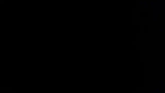 BlackFox V online show from 02/23/26, 09:01