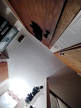 chad23162 online show from 02/13/26, 04:58