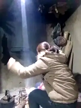 maimai1100 online show from 02/03/26, 12:42