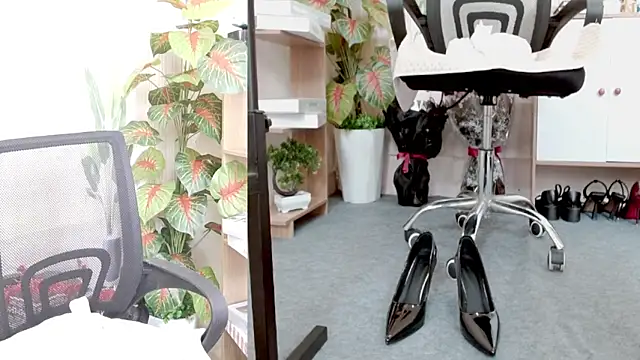 Zinna999 online show from 03/07/26, 06:32