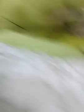 ONixCris online show from 02/20/26, 05:24