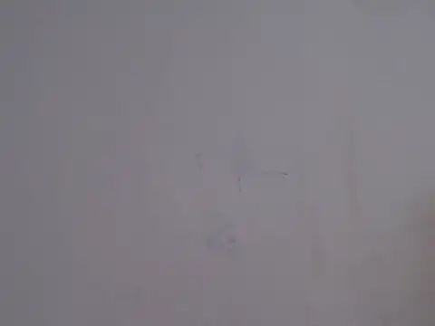 placerverdadero online show from 02/15/26, 05:48