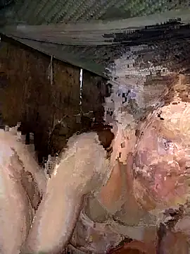 Bella-222 online show from 03/02/26, 07:15