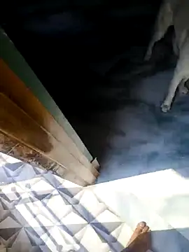 Snapshot of rubitrides11 chatting on 02/18/26, 06:09 rubitrides11 online show from 02/18/26, 06:09