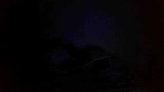 bialoba7 online show from 10/01/25, 10:16