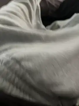 bugballs1 online show from 02/20/26, 11:38