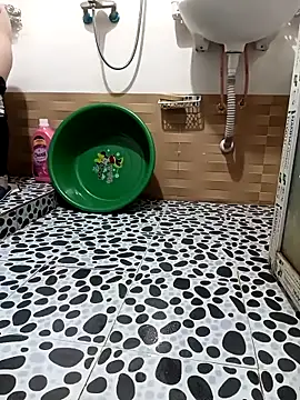 Tulip ii online show from 02/14/26, 05:59