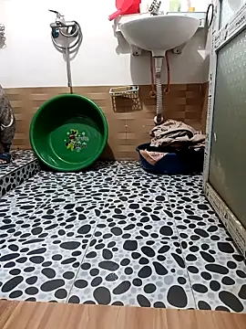 Tulip ii online show from 03/07/26, 01:57