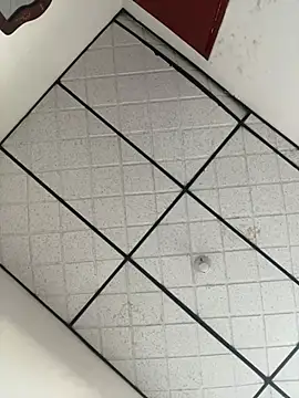 CarolineFyre online show from 04/22/26, 11:45