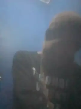 S7LEALTADPERVLIMA7 online show from 07/14/26, 04:06