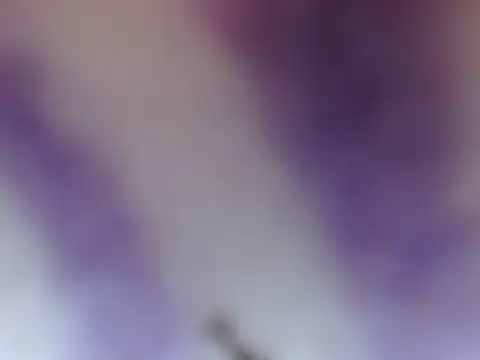 ELIZA 01 online show from 02/08/26, 04:38