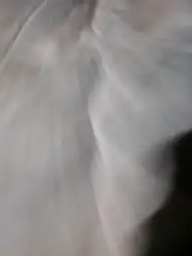 poke90201 online show from 03/22/26, 12:58