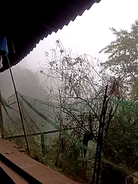 Anna 516 online show from 03/06/26, 12:51