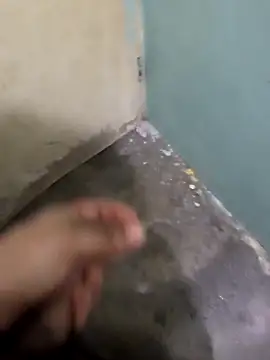 tortolito201 online show from 02/08/26, 02:48