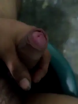 tortolito201 online show from 02/11/26, 07:46