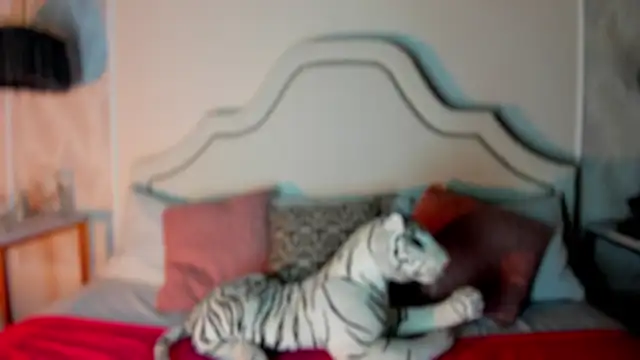 niicole garner online show from 02/11/26, 04:34