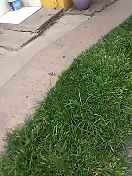 gordorichard online show from 02/04/26, 04:46