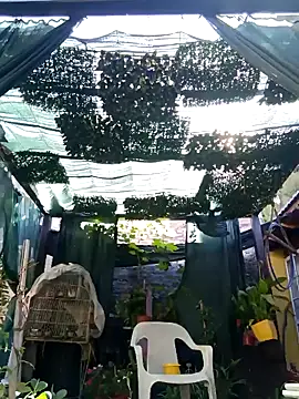 gordorichard online show from 02/21/26, 12:39