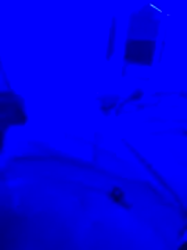 bojo69 online show from 02/13/26, 12:12