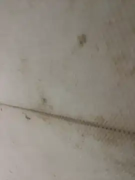 Miu Xinh online show from 04/11/26, 05:06