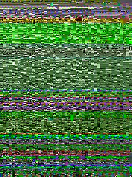 Adriputinha online show from 05/09/26, 12:27